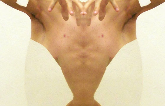 Armando Bravo's Bodies
