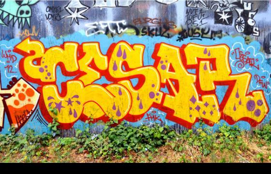 Cesar Fmk