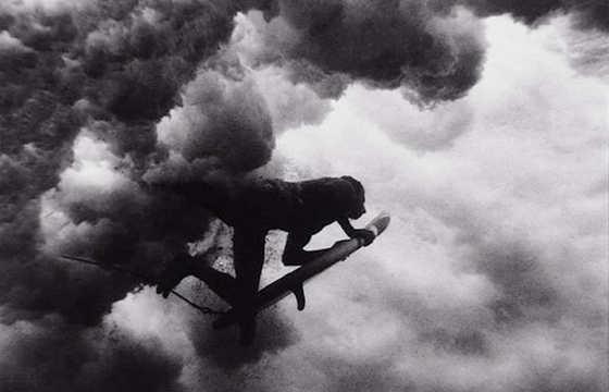 Underwater Photographs By Wayne Levin