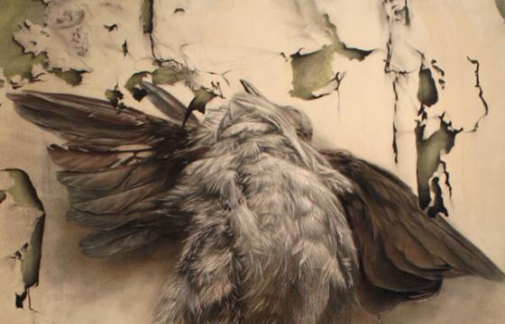 The Work of Luis Sanchez