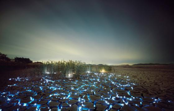Starry Night Installations in Nature by Lee Eunyeol