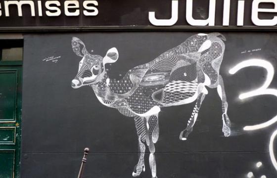Deer drawing with chalk by Philippe Baudelocque