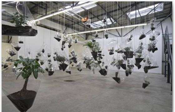 Installations by Mikala Dwyer