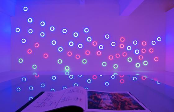 Anomalia @ University Art Gallery, UC San Diego