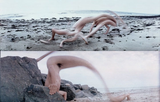 Frederic Fontenoy's Fusion and Métamorphose