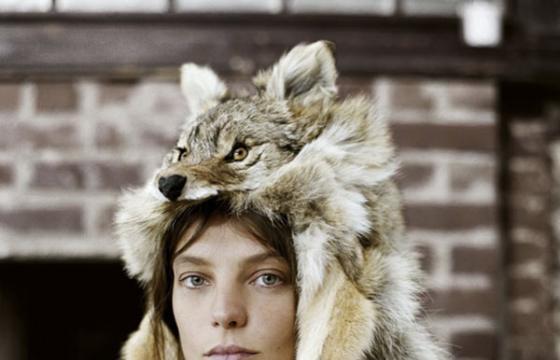 The Photography of Cass Bird