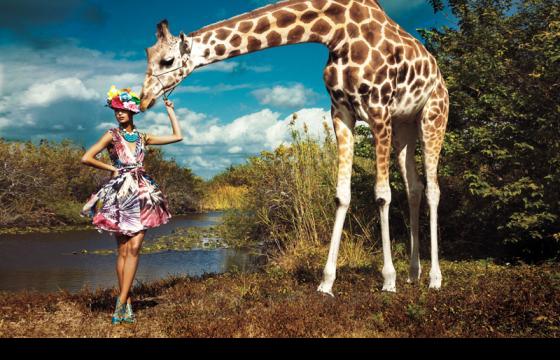 Vogue Photographer, Greg Lotus, at Bill Lowe Gallery Atlanta