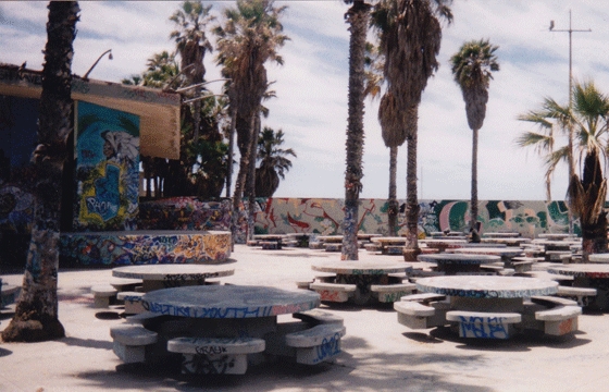 Photos of the Venice Pavillion
