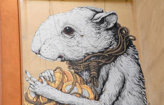 New Ericailcane Mural in Italy
