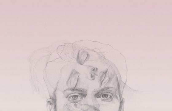 Denise Nestor Illustration