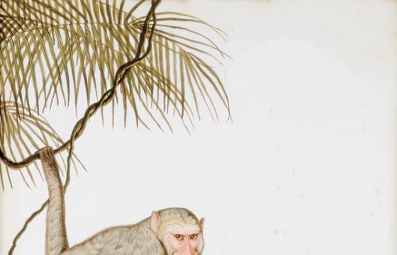 From the Archives: Walton Ford for Juxtapoz May-June 1999
