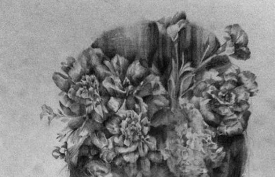 Drawings by Jessica Stewart