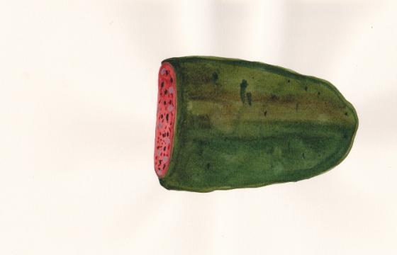 Molly Rose Dyson and Fiona Waters' Small Goods