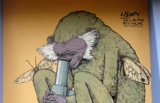 In Street Art: Liqen in Chiapas, Mexico