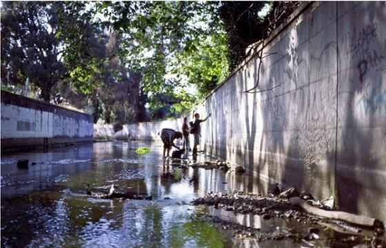 Storm Drain Tranquility