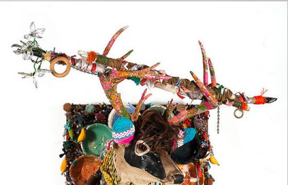 Reusing Reclaimed Taxidermy by Marcus Kenney