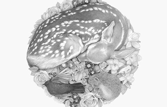 Denise Nestor's Quiet Compositions