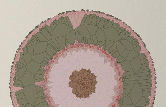 Diana Lange: Nature of Code