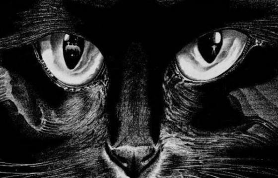 The Graphic Works of Russia's Anatoly Fomenko