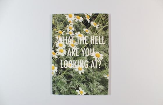 "What the hell are you looking at?" by Hannah Richards