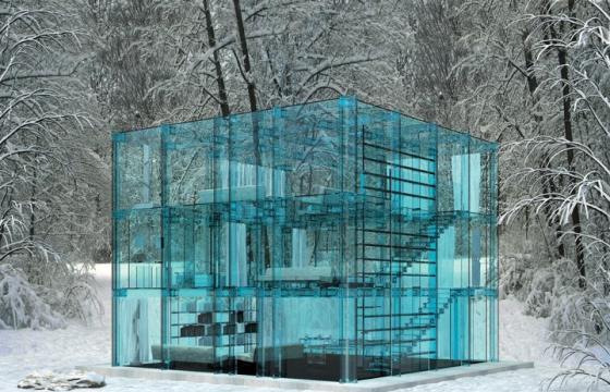 The Snow House