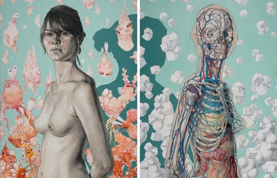 Michael Reedy's Anatomical Illustrations