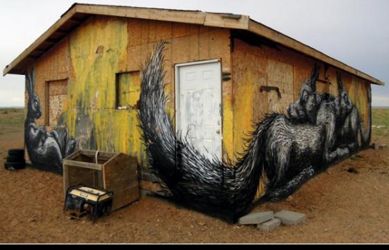 ROA in Arizona Desert