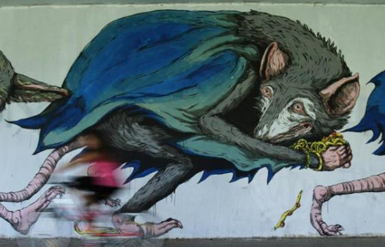 New Ericailcane mural in Kosice, Slovakia