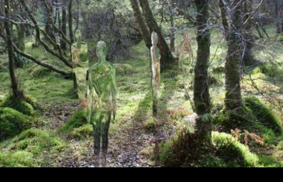 Mirroed Figures in the Forest by Rob Mulholland