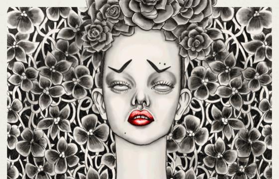 Animated Illustrations by Tara Dougans