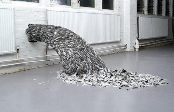 Working With Feathers: The Art of Kate MccGwire