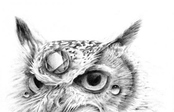 Nick Simon's Graphite Illustrations