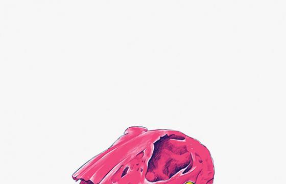 Becca O'shea's Skulls