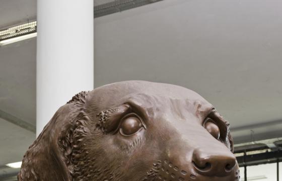 Ai Weiwei’s New York Show to Go On With or Without Him