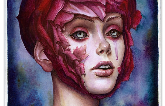 N.C. Winters' 100 Drawings