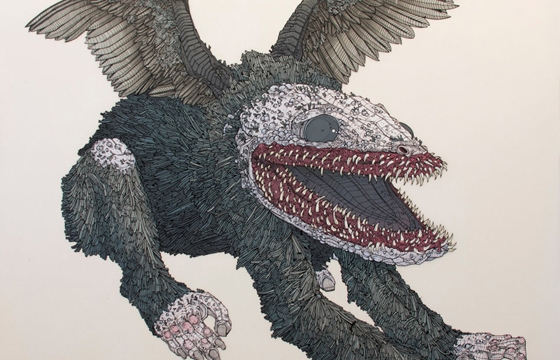 Drawings by Nicholas Di Genova