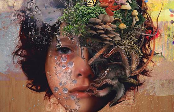 The Works of YDK Morimoe
