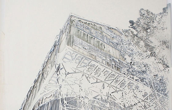 Stencil Illustrations by Adam Feibelman