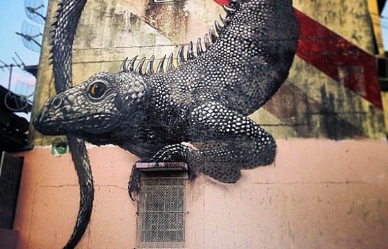 Roa in Panama City