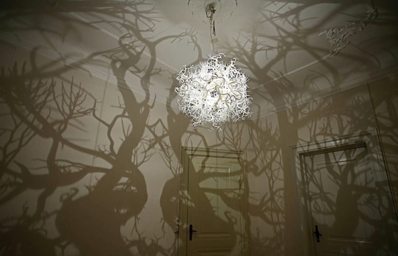 Chandelier Casts Shadow of a Forest of Trees