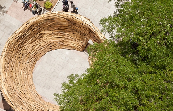 "The Reading Nest" by Mark Reigelman