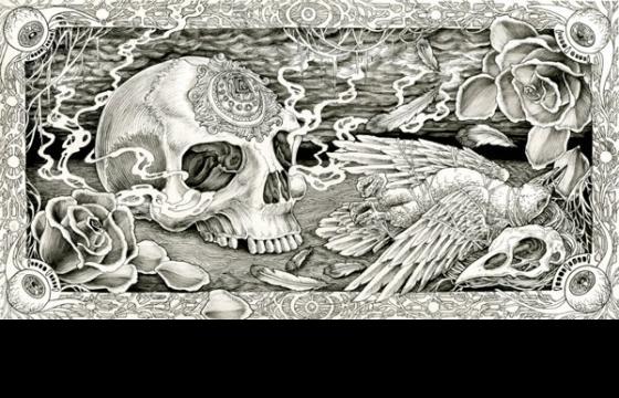 Lucas Ruggieri's Dark Universe