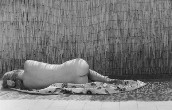 Nudes by Erica McTurk