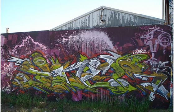  FRIDAY SPOTLIGHT: SINER