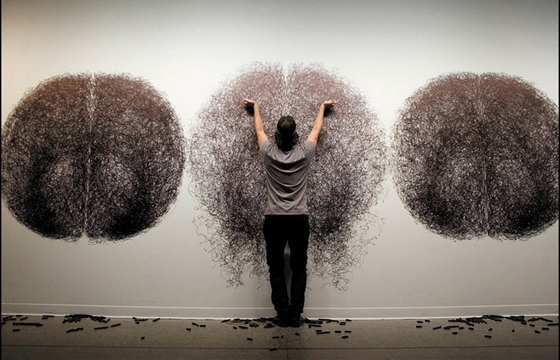 Tony Orrico's Penwald Drawings