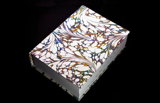 Felix Hayes & Ben West's Google Book 