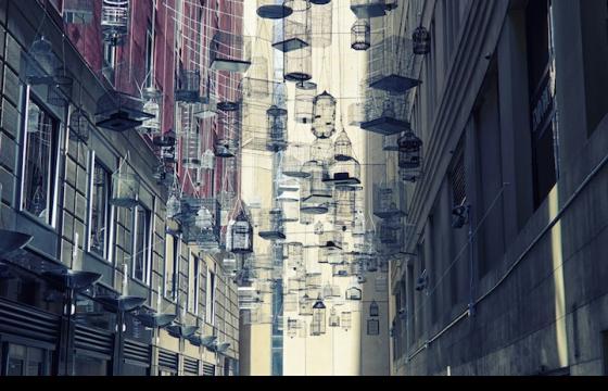 Suspended Birdcages in Sydney, Australia