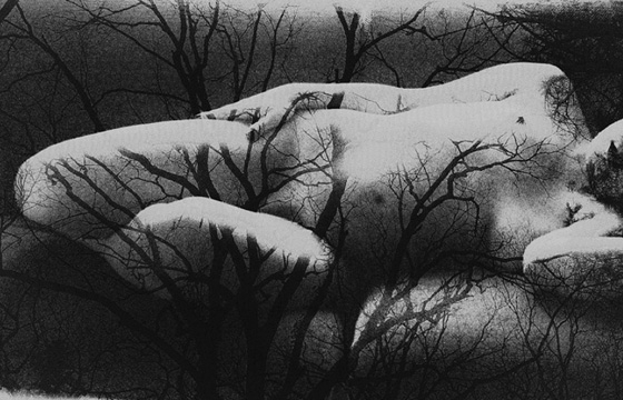 Bodyscapes by Sumyko