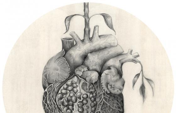 The Work of Ellie Coates