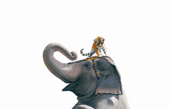 Preview: Josh Keyes "The Circus and The Sea" @ Roq La Rue, Seattle